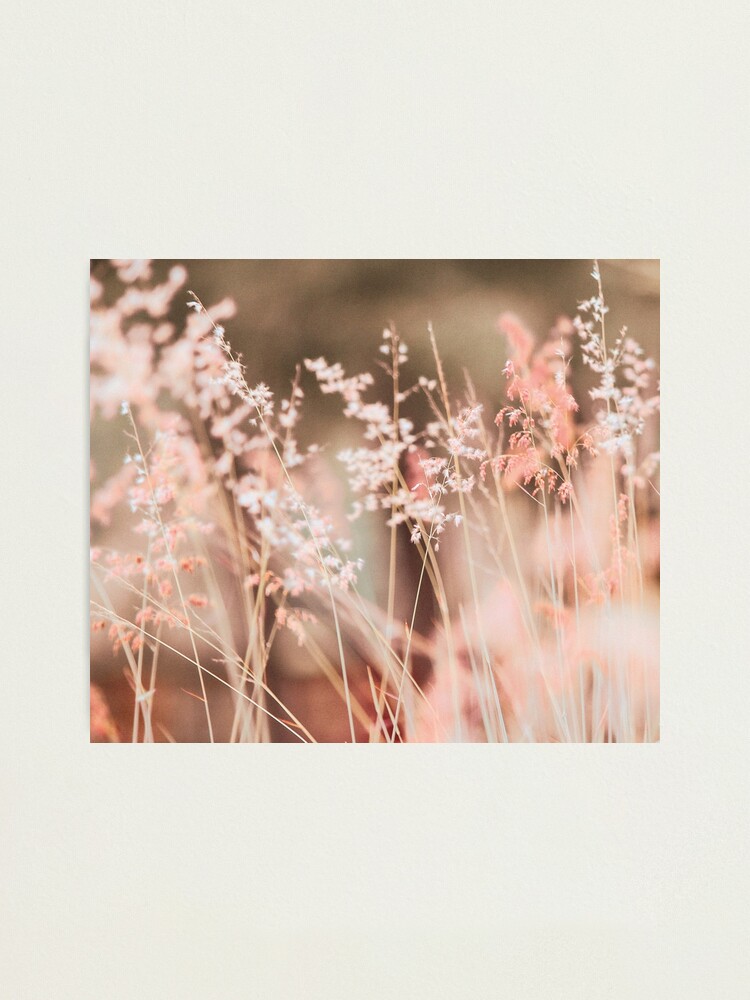 Alternate view of Orange summer field Photographic Print