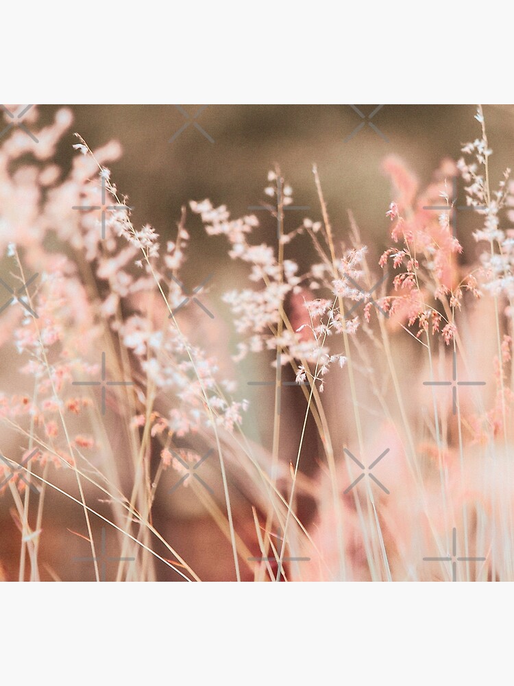 Orange summer field by ColorsHappiness