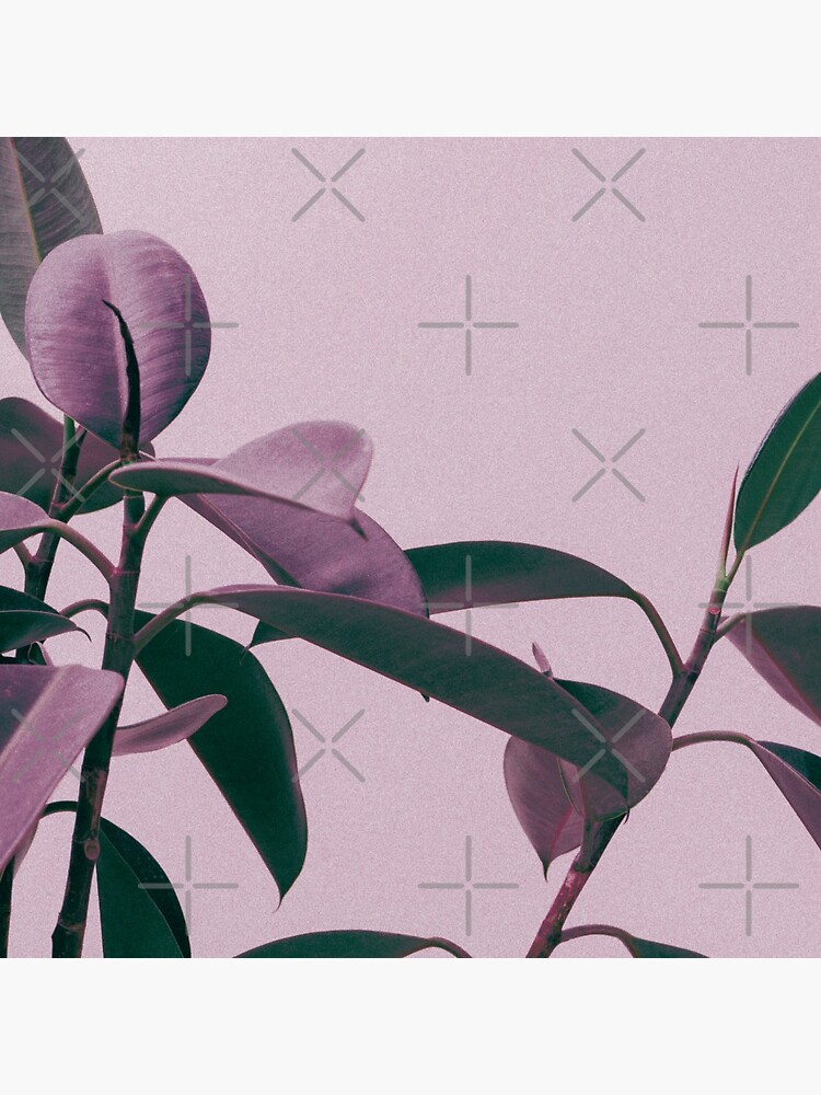 Purple summer leaves by ColorsHappiness