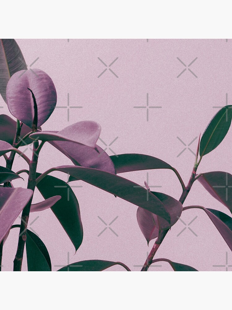 Purple summer leaves by ColorsHappiness