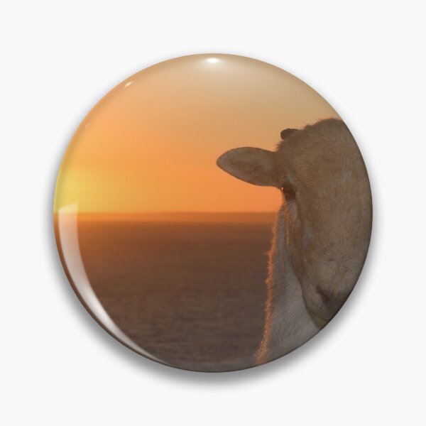 Item preview, Sunset pose designed and sold by Duane Evans.