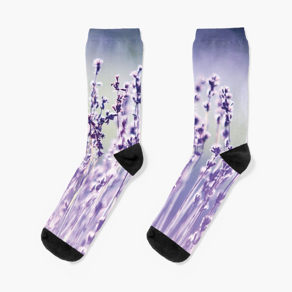 Purple summer field, lavender Socks