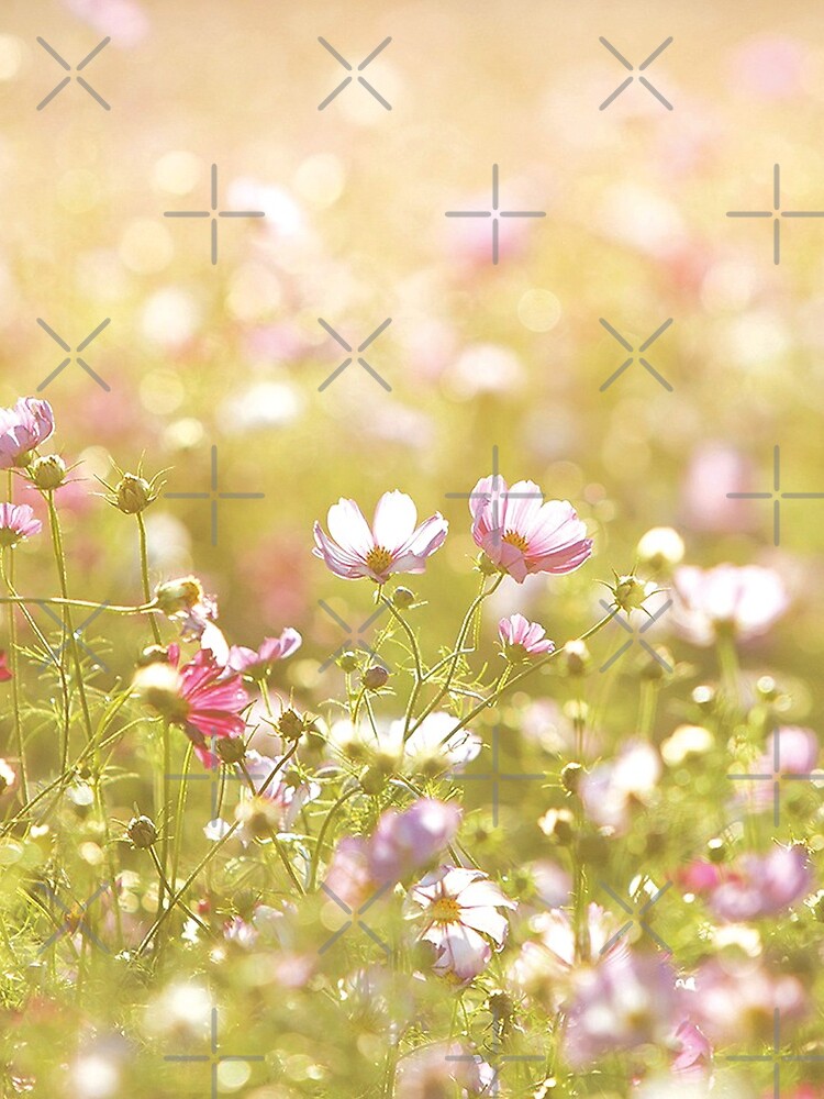 Fresh spring flowers by ColorsHappiness
