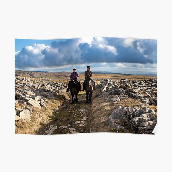Dales Ponies Poster