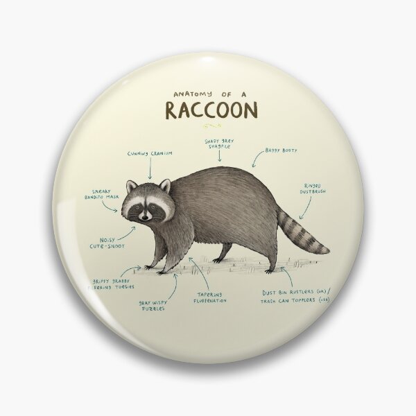 Item preview, Anatomy of a Raccoon designed and sold by SophieCorrigan.