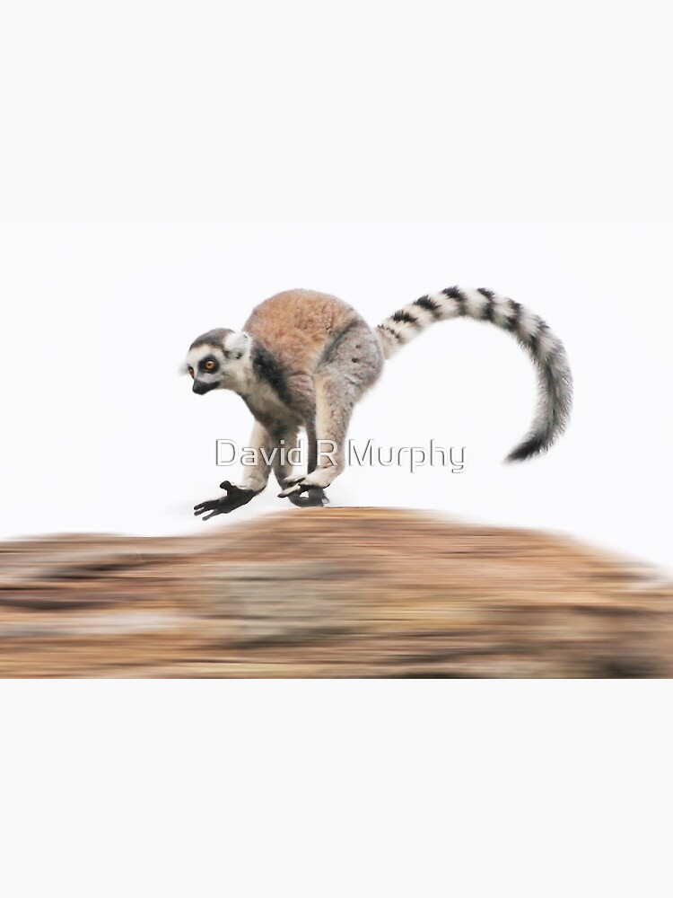 'I like to move it' by DavidRMurphy