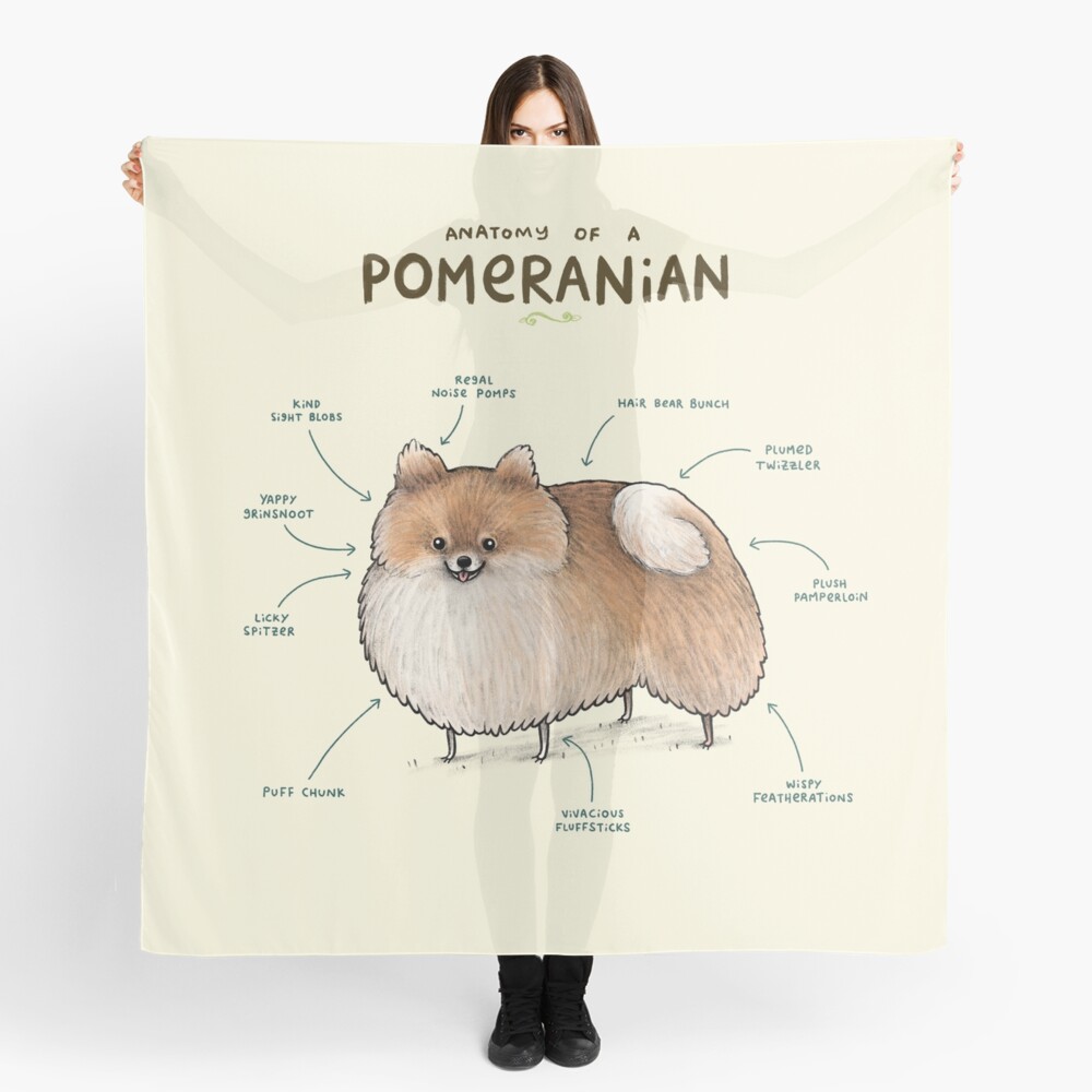 pomeranian scarf