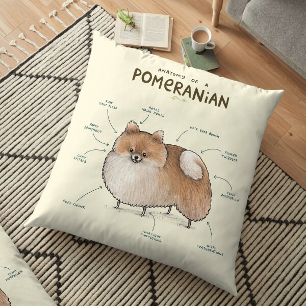 Anatomy of a Pomeranian Floor Pillow
