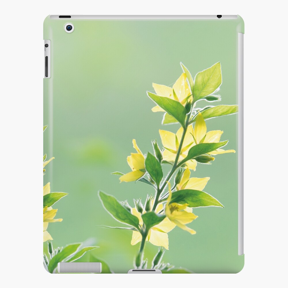 Fresh green botanicals iPad Case & Skin