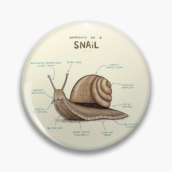 Item preview, Anatomy of a Snail designed and sold by SophieCorrigan.