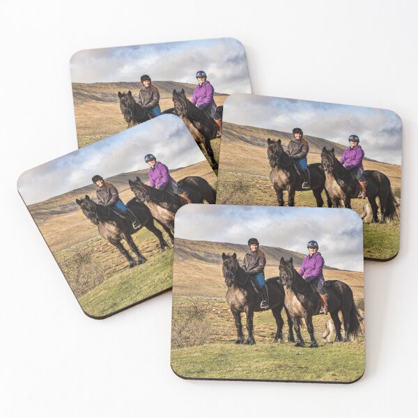 Aperçu de l'œuvre Poneys Dales créée et vendue par MJ-Piccys.