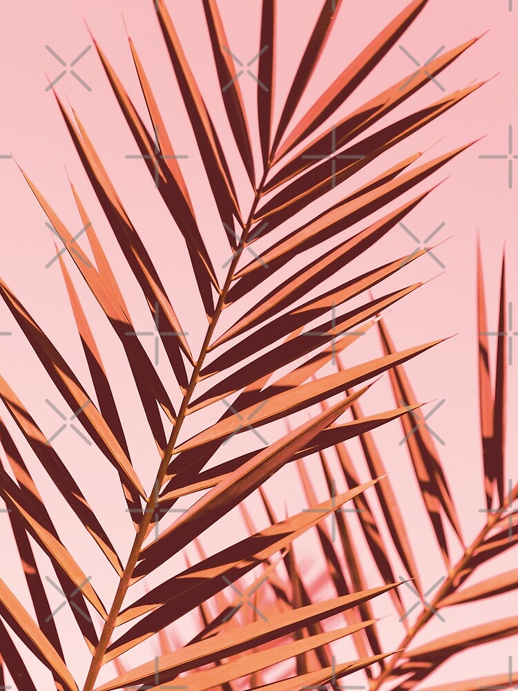 Graphic pink botanicals by ColorsHappiness