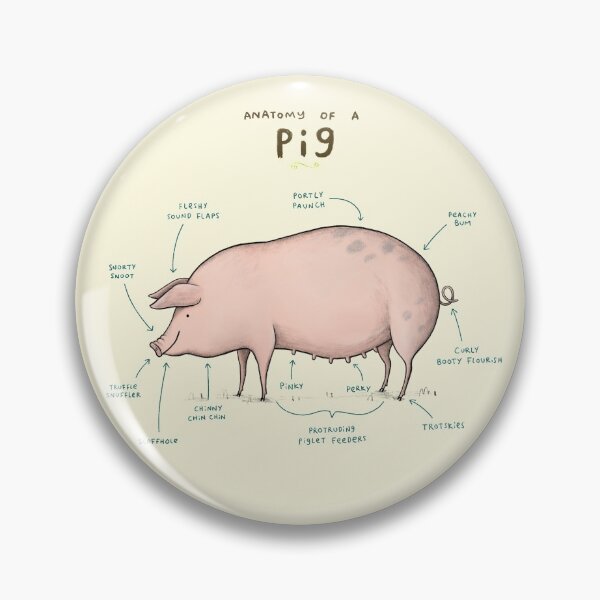 Item preview, Anatomy of a Pig designed and sold by SophieCorrigan.