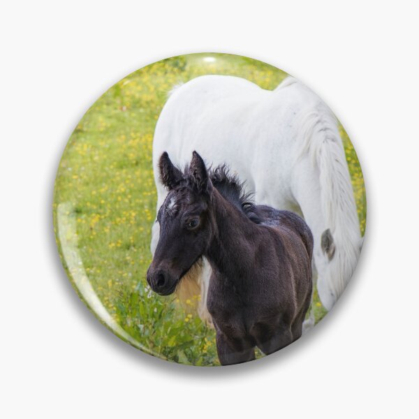 Item preview, Dales Pony Foal designed and sold by MJ-Piccys.