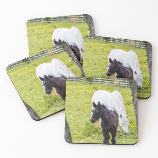 Item preview, Dales Pony Foal designed and sold by MJ-Piccys.