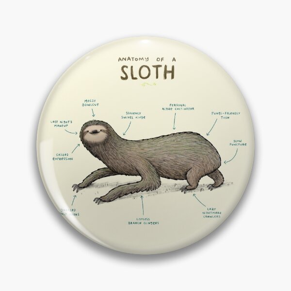 Item preview, Anatomy of a Sloth designed and sold by SophieCorrigan.