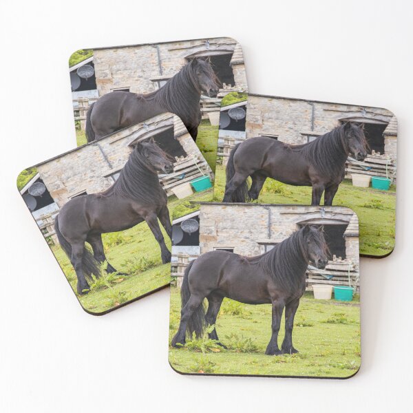 Aperçu de l'œuvre Poney Dales créée et vendue par MJ-Piccys.