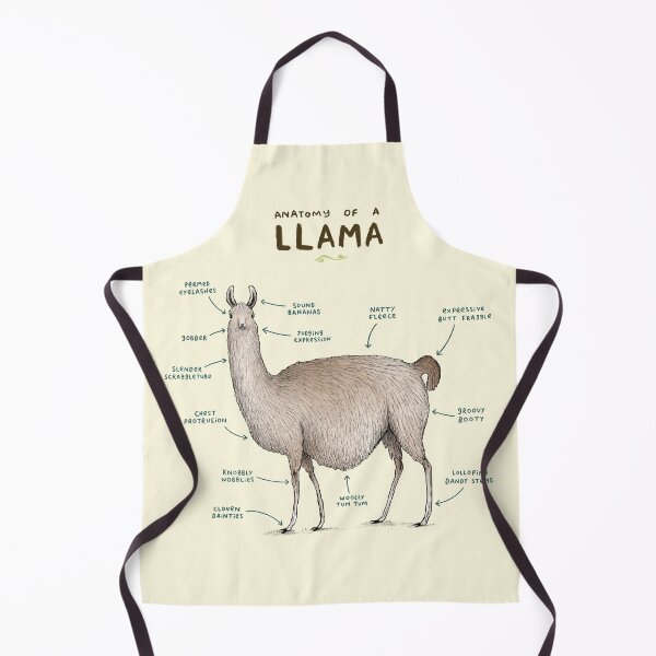 Item preview, Anatomy of a Llama designed and sold by SophieCorrigan.