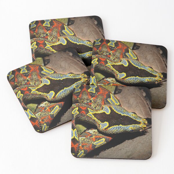 Item preview, Rainbow Rhinoceros Viper designed and sold by ReptileAmphibia.