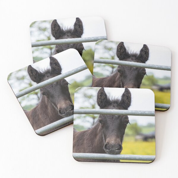 Item preview, Dales Pony Foal designed and sold by MJ-Piccys.