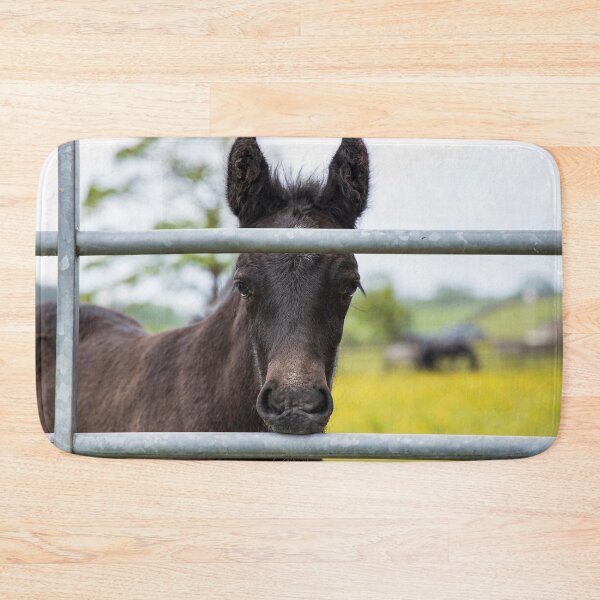 Item preview, Dales Pony Foal designed and sold by MJ-Piccys.