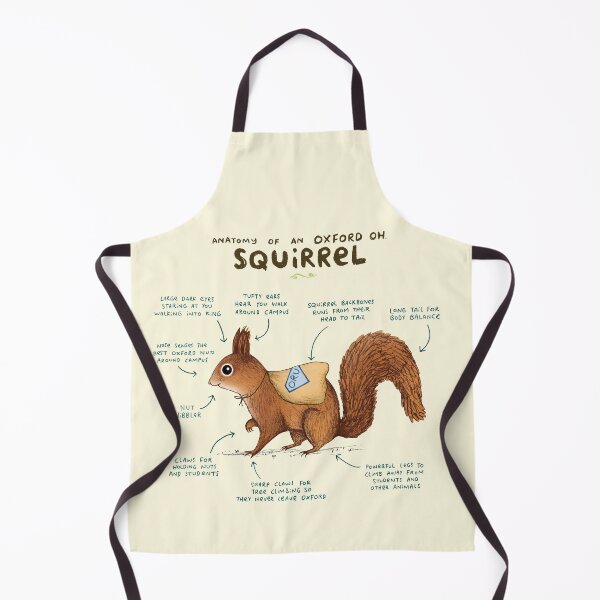 Item preview, Anatomy of an Oxford OH Squirrel designed and sold by SophieCorrigan.
