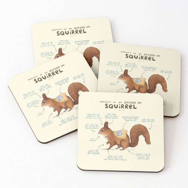 Item preview, Anatomy of an Oxford OH Squirrel designed and sold by SophieCorrigan.