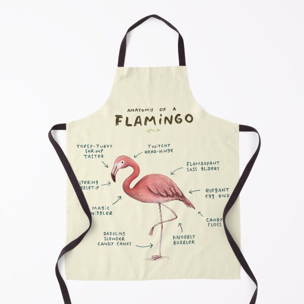 Item preview, Anatomy of a Flamingo designed and sold by SophieCorrigan.