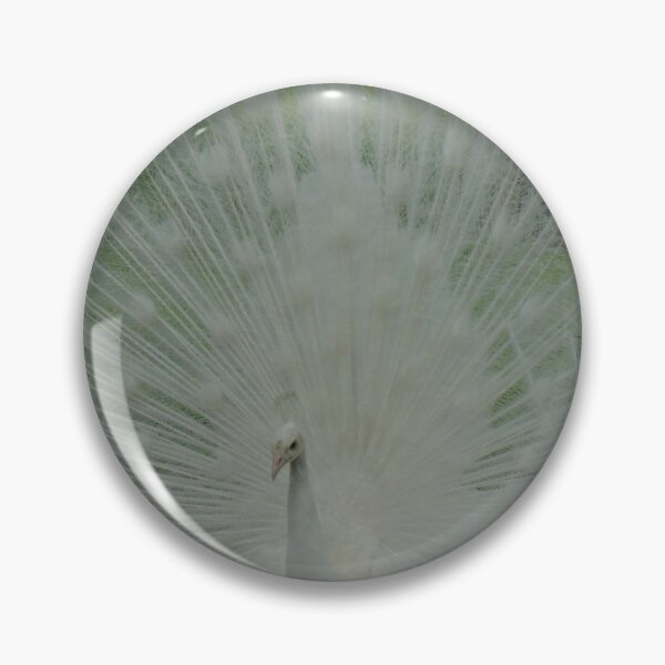 Item preview, Angel is a Centerfold designed and sold by AncientDreamer.