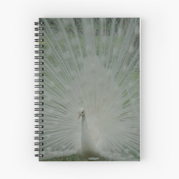 Item preview, Angel is a Centerfold designed and sold by AncientDreamer.