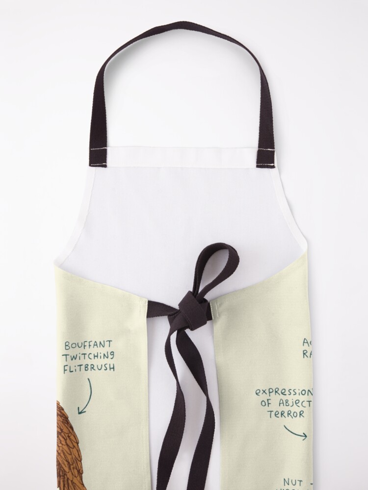 Alternate view of Anatomy of a Squirrel Apron