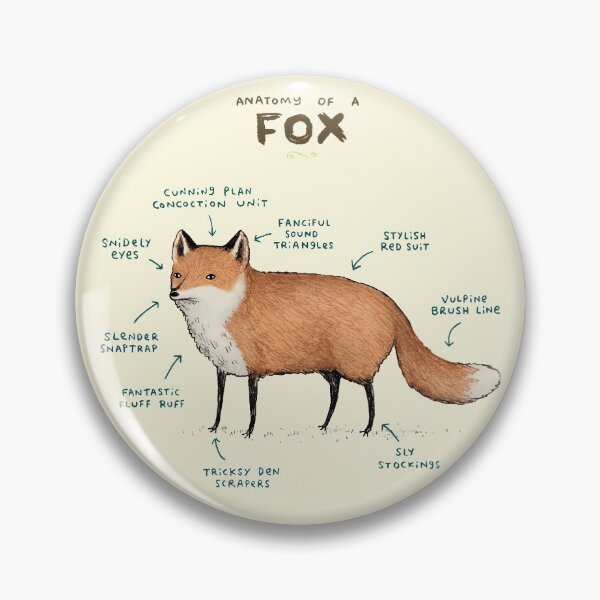 Item preview, Anatomy of a Fox designed and sold by SophieCorrigan.