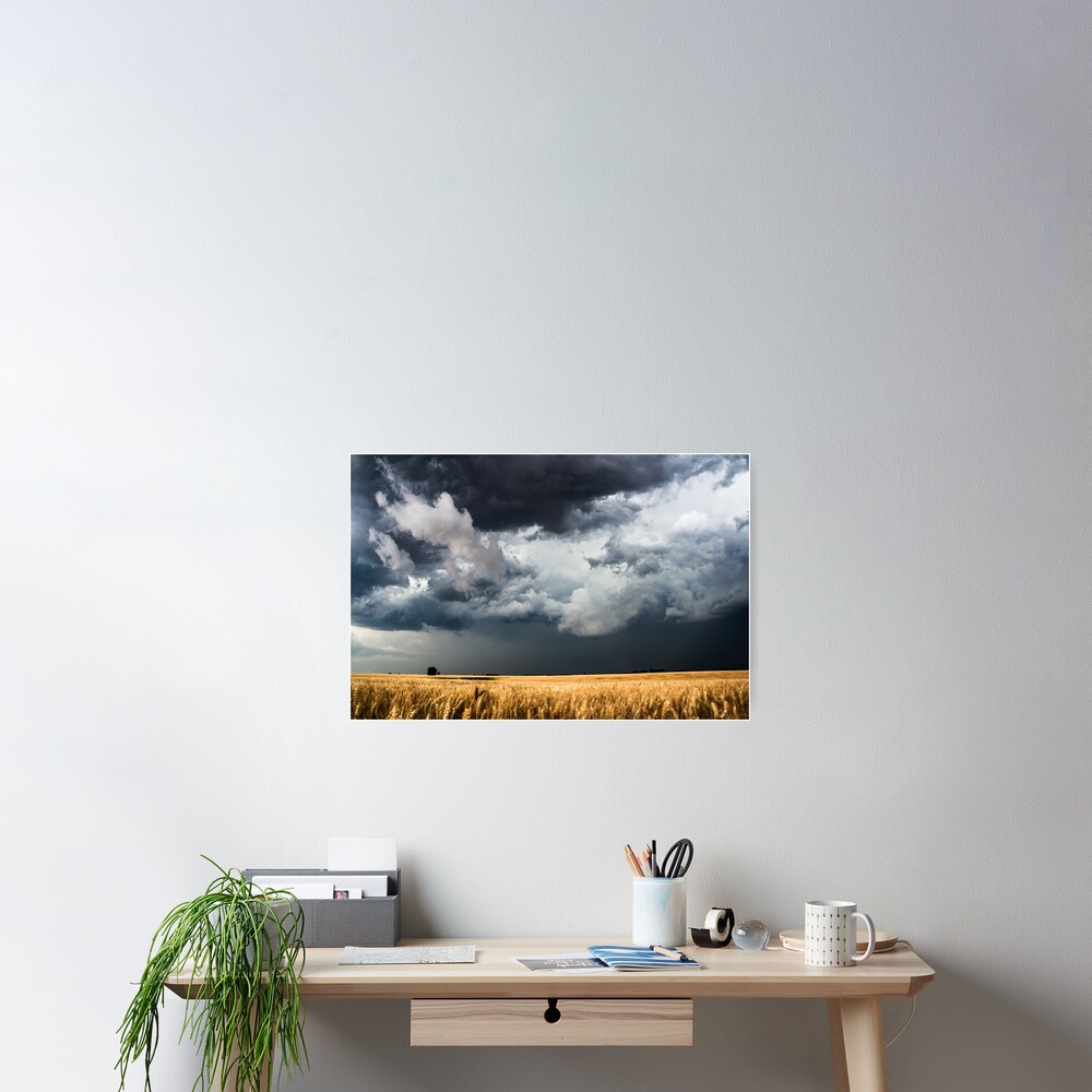 Cotton Candy - Storm Clouds Gather Over Golden Wheat Field in Kansas Poster