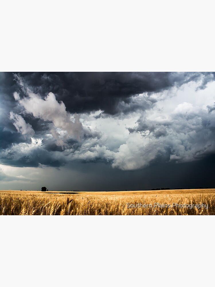 Cotton Candy - Storm Clouds Gather Over Golden Wheat Field in Kansas by SeanRamsey