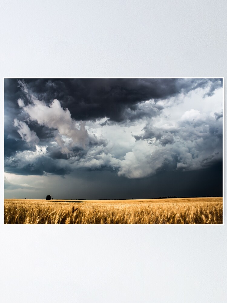 Alternate view of Cotton Candy - Storm Clouds Gather Over Golden Wheat Field in Kansas Poster