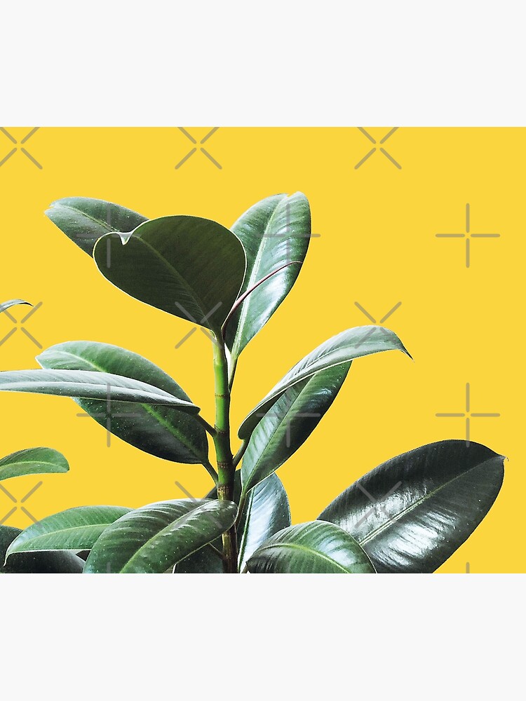 Graphic green botanicals, yellow background by ColorsHappiness