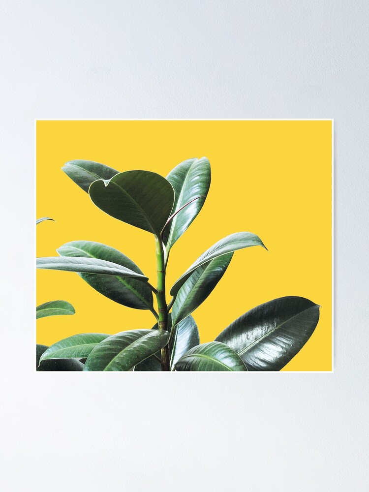 Alternate view of Graphic green botanicals, yellow background Poster
