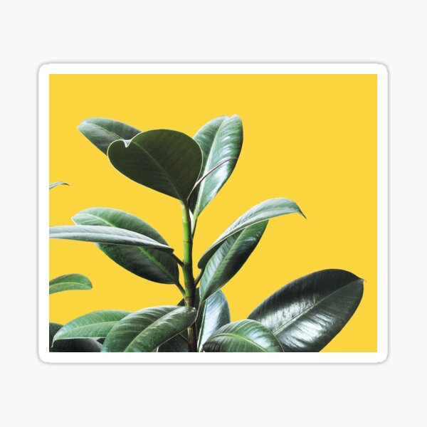Graphic green botanicals, yellow background Sticker