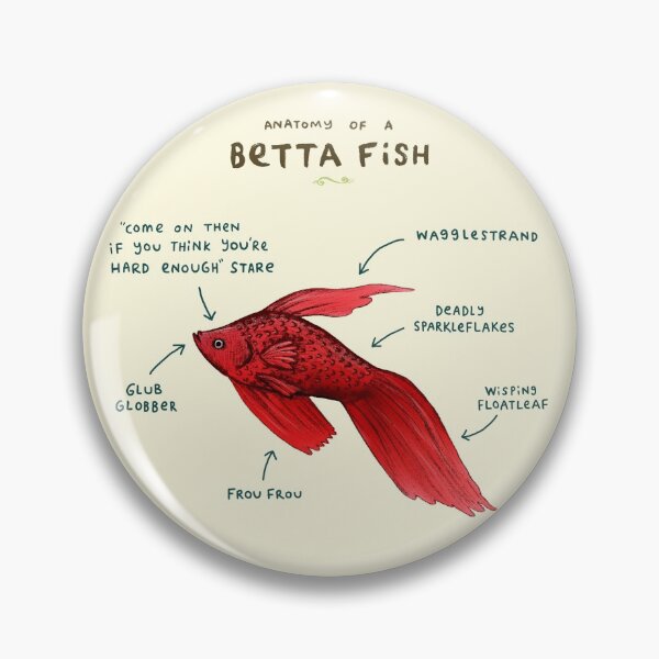 Item preview, Anatomy of a Betta Fish designed and sold by SophieCorrigan.