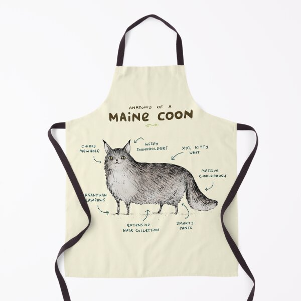 Item preview, Anatomy of a Maine Coon designed and sold by SophieCorrigan.