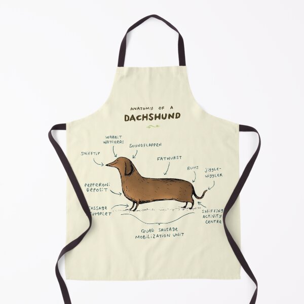 Item preview, Anatomy of a Dachshund designed and sold by Sophie Corrigan.