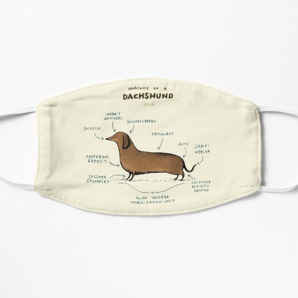 Anatomy of a Dachshund Flat Mask
