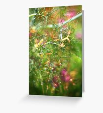 Helios Garden Greeting Card