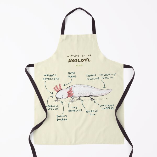 Item preview, Anatomy of an Axolotl designed and sold by SophieCorrigan.