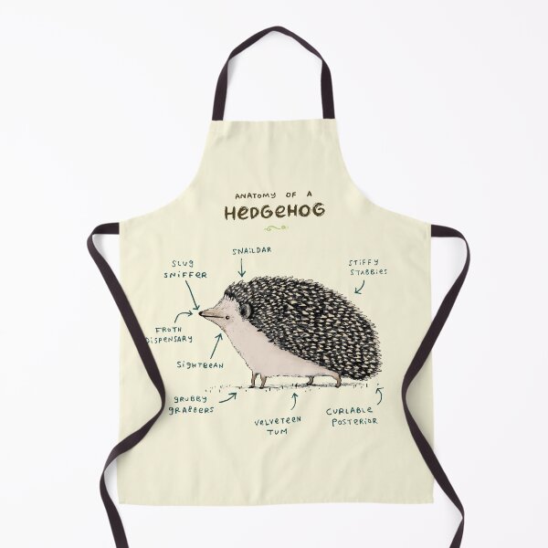 Item preview, Anatomy of a Hedgehog designed and sold by SophieCorrigan.