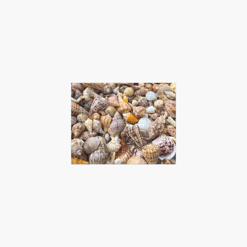 SHELL PARADISE Jigsaw Puzzle