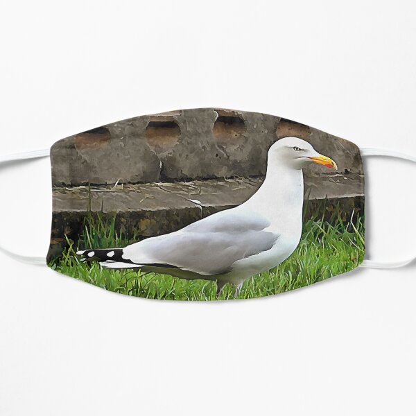 Brighton Seagull Mask