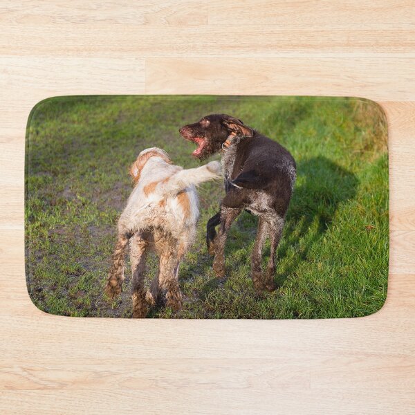 Item preview, You Shall Not Pass Spinone designed and sold by FOLK ART FUSION by heidiannemorris.