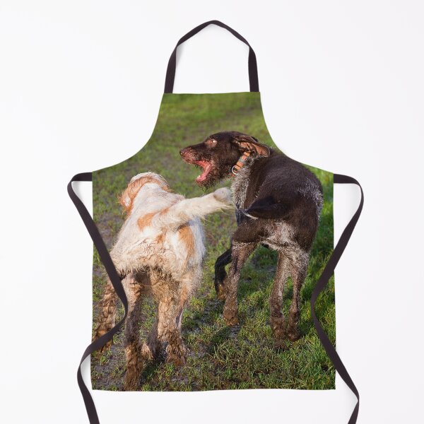 Item preview, You Shall Not Pass Spinone designed and sold by FOLK ART FUSION by heidiannemorris.