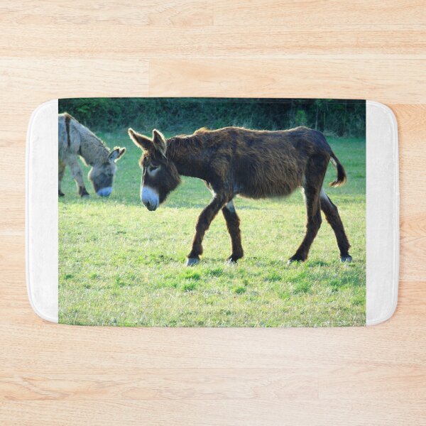 Item preview, The two donkeys designed and sold by ART22.